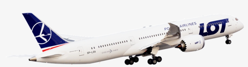 Free Photo Passenger Aircraft Polish Airline Aircraft - Inflight 200 Lot Boeing 787-8 Dreamliner Reg - Sp-lrd, transparent png download