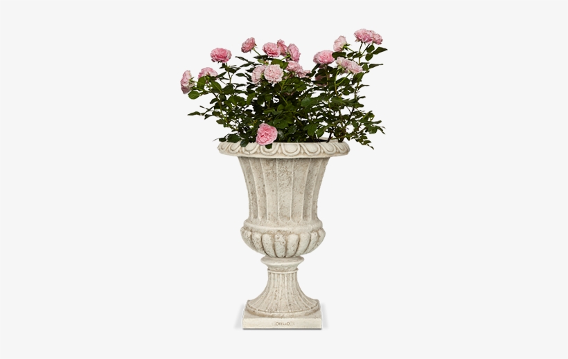 Capi Classic - Afbeeldingen Voor Moederdag 2018, transparent png download