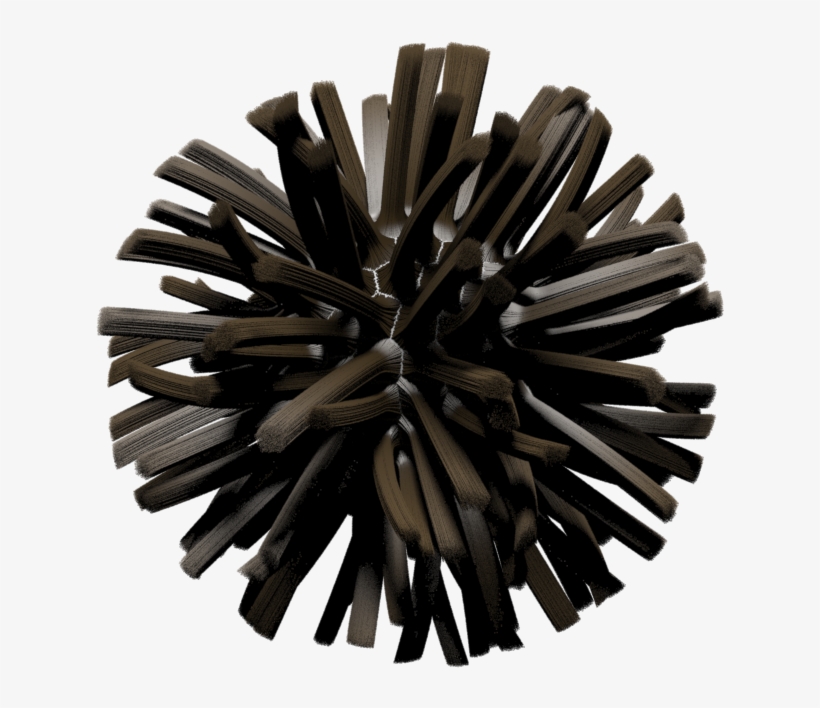 The Hair Curves Don't Have Enough Segments To Represent - Wood, transparent png download