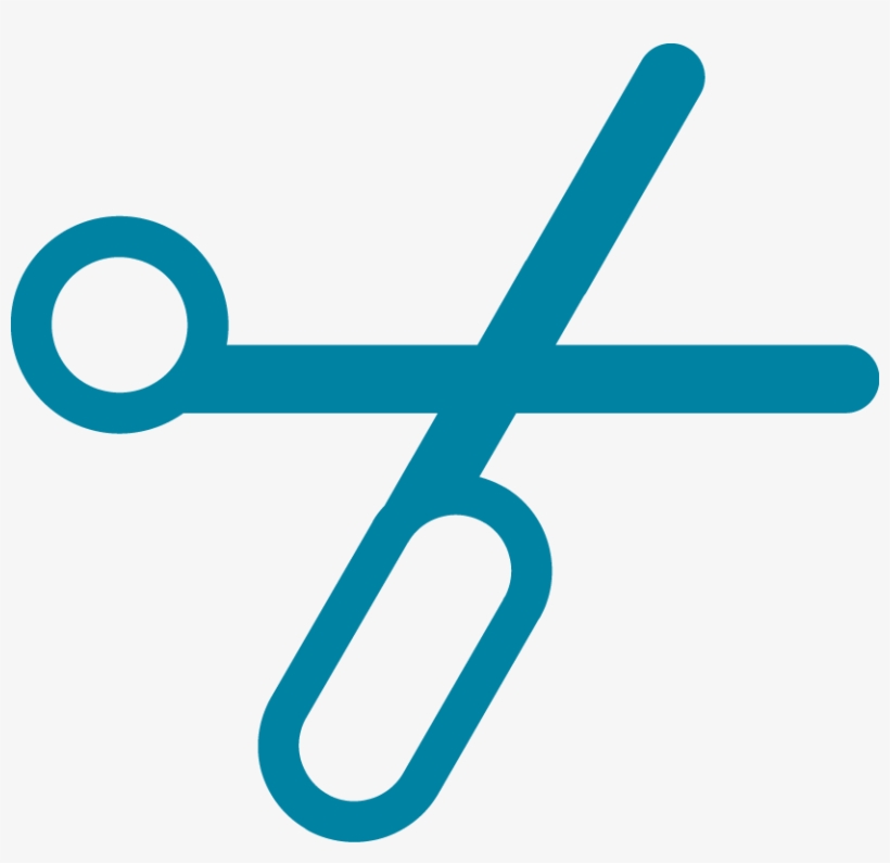 Erin's Schedule - Pruning, transparent png download