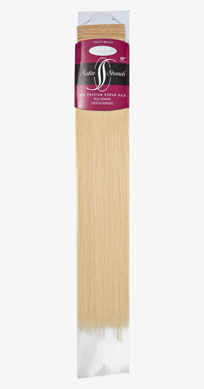 Spaghetti, transparent png download