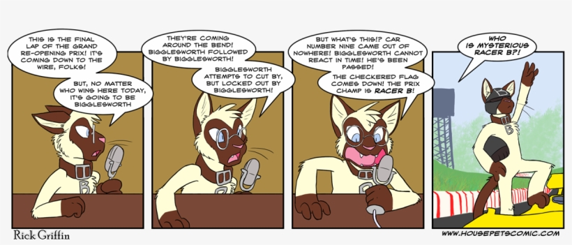 Ohh Ahh Mysterious Racer B Who Do You Think That Is - Mario Kart, transparent png download