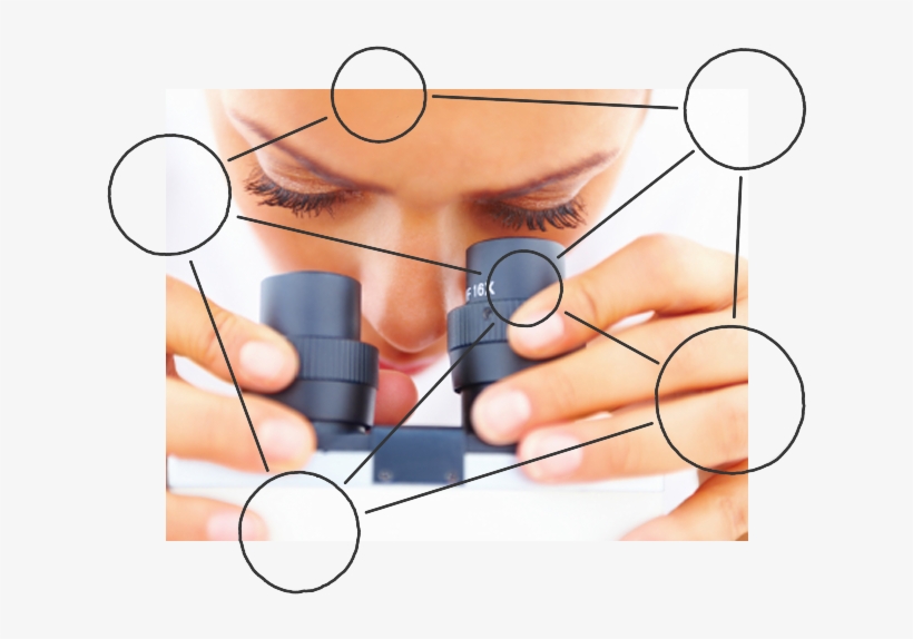 Healthcare Phishing Attack Leads To Biggest Breach - Utilisation Of Vaginal Vault Cytology Tests Post-hysterectomy, transparent png download