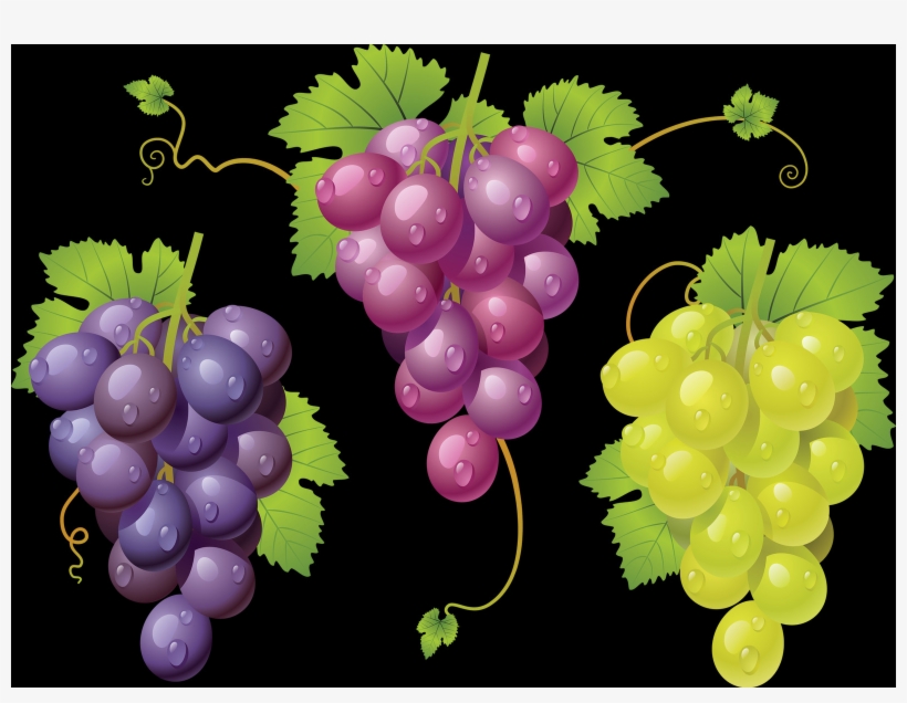 A Grape Is A Fruit, Botanically A Berry, Of The Deciduous, transparent png download