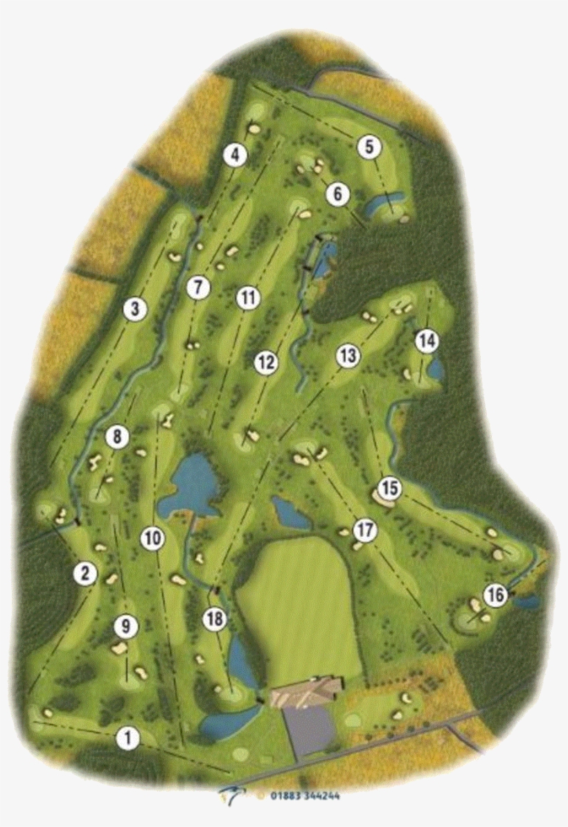 Enhancing The Original Layout With Subtle Mounding, - Chlorophyta, transparent png download