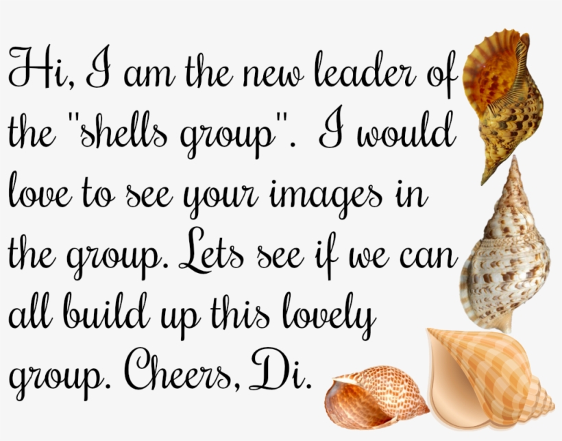 Posted By Greenfroggy1 3/17/18 At - Shell, transparent png download