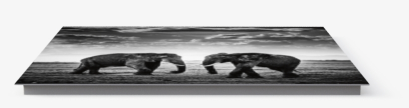 Photo The Road Is Closed, Kenya - Coffee Table, transparent png download