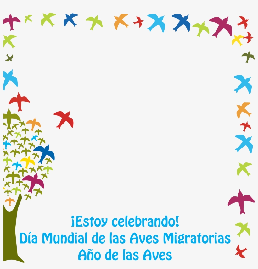 0228 Spa Facebook Frame - Estoy Embarazada!: Qué Hago? [book], transparent png download