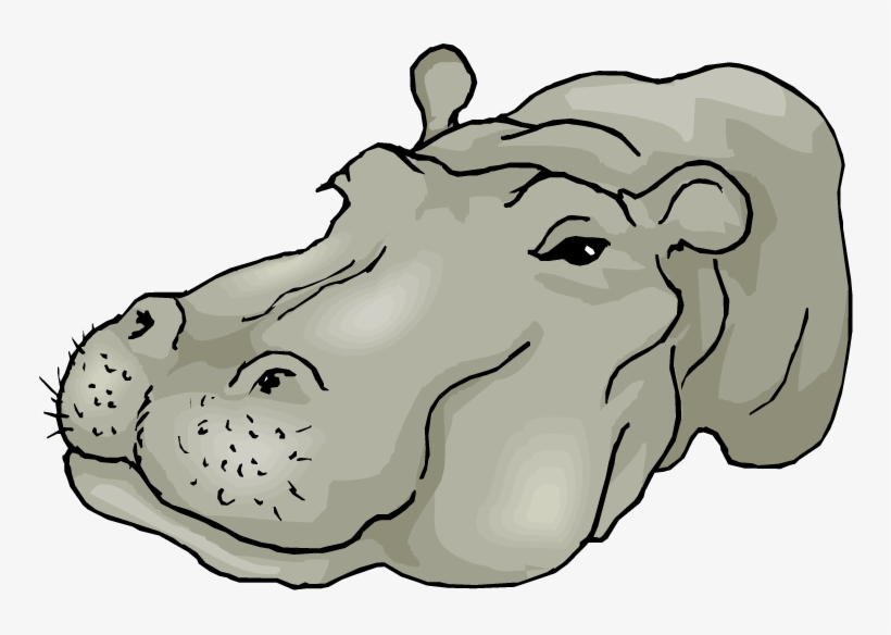 Free Hippo Clipart - Clip Art, transparent png download