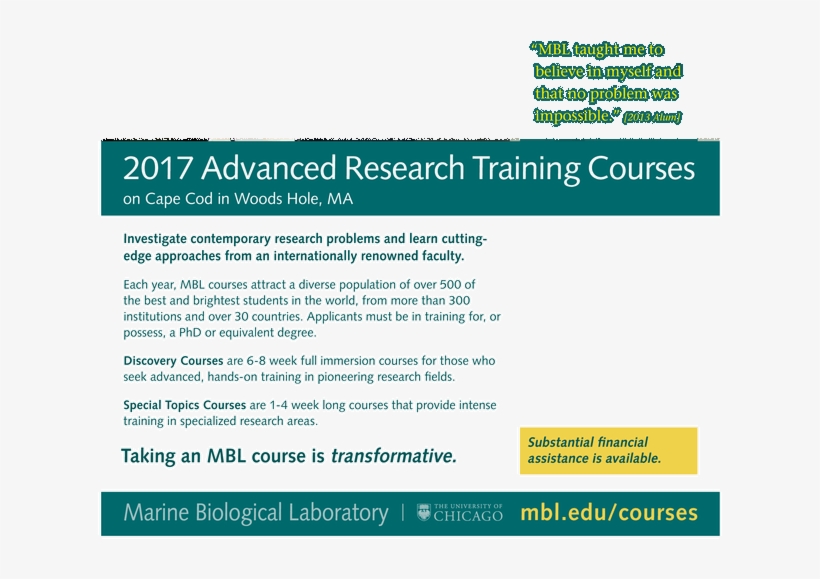 What - Colorfulness, transparent png download