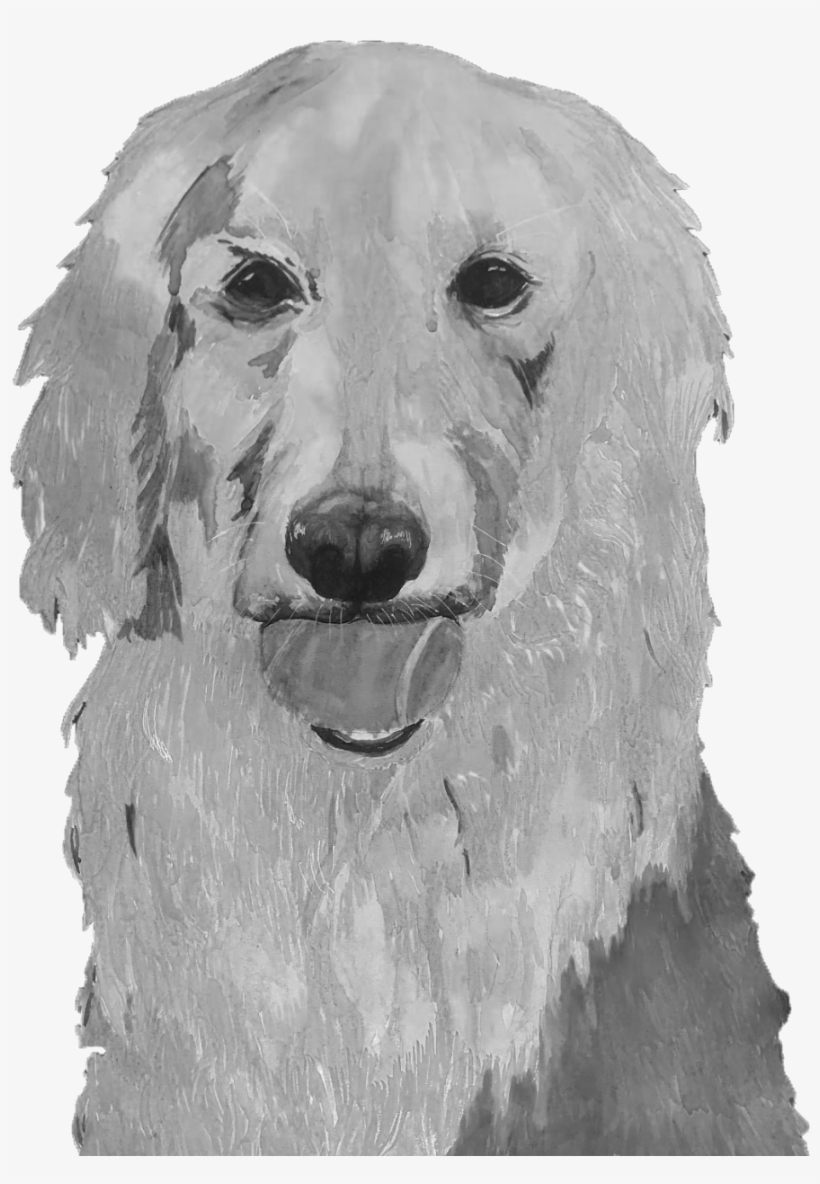 Illustration By Janiece Maddox, transparent png download