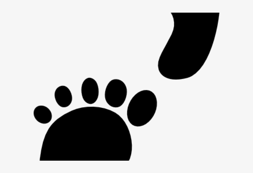 Path Clipart Shoe Footprint - Clip Art, transparent png download