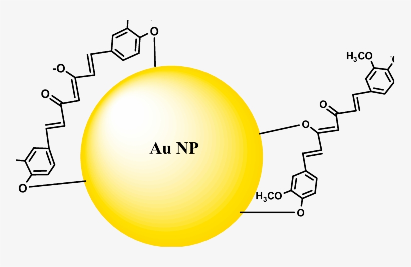 Gold Nanoparticles Capping By Curcumin Molecules - Curcumin Gold Nanoparticles, transparent png download