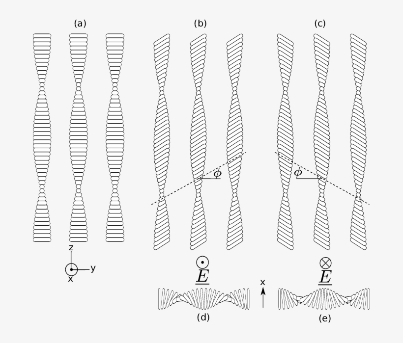 The Helical Flexo Electro Optic Effect - Line Art, transparent png download