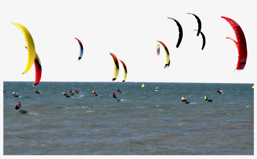 Kite Foil Gold Cup 2016 In Calabria Gizzeria - Seabird, transparent png download