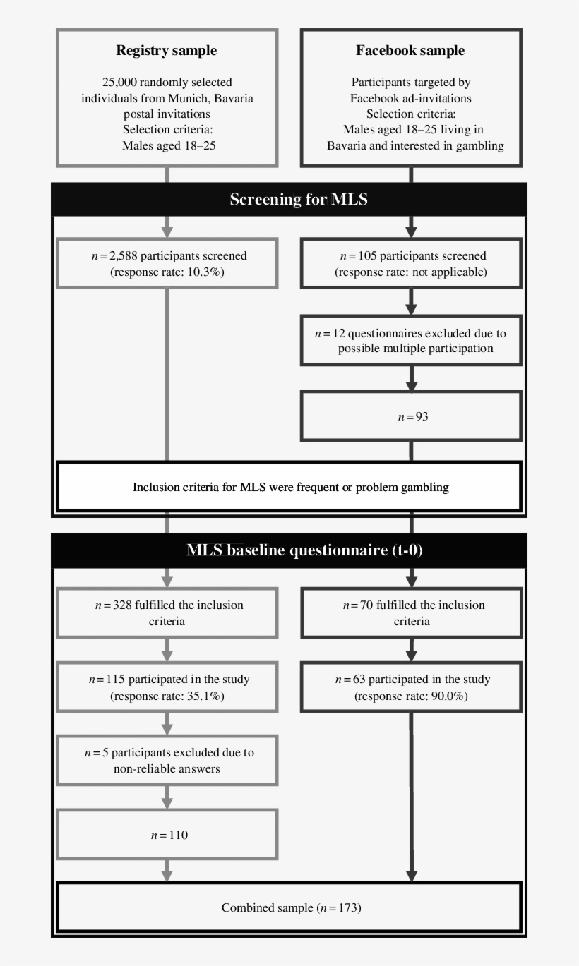 Flowchart Of Participation In The Munich Leisure-time - Flowchart, transparent png download