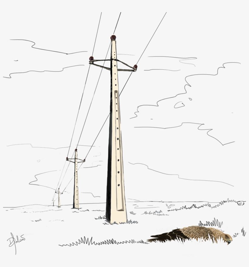 This Is One Of The Main Causes Of Unnatural Mortality, transparent png download