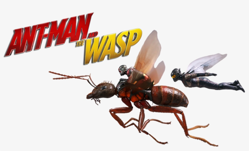 และในประเทศไทยก็เป็น Incredibles 2 Ant Man And The - Ant Man Wasp Png, transparent png download