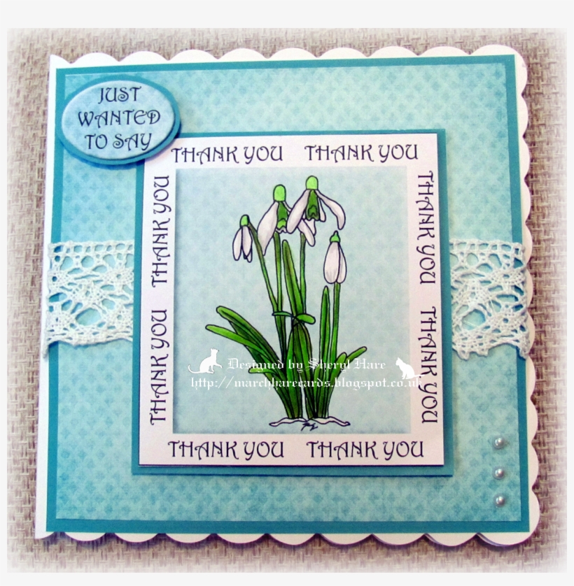 Sheryl Using Snowdrops - Snowdrop, transparent png download