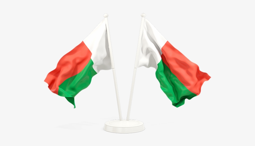 Waving Guyana Flag * Png, transparent png download