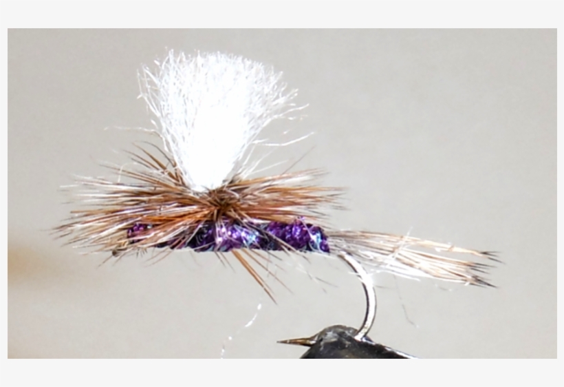 Purple Haze - Poly Parachute - Dandelion, transparent png download