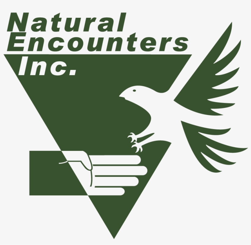 Natural Encounters Inc, transparent png download