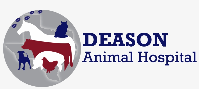 Bolf, Veterinarian At Deason Animal Hospital In Floresville, transparent png download