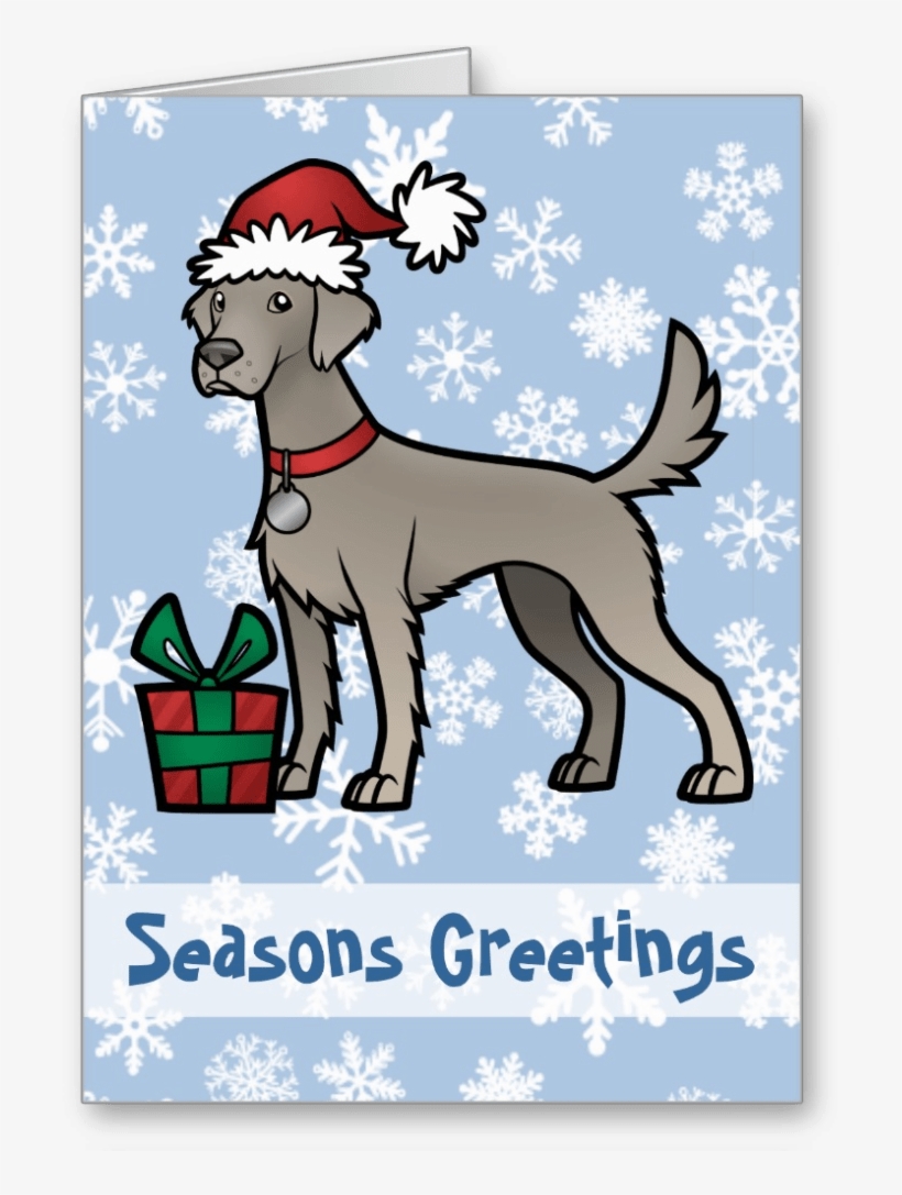 Long Haired Weimaraner Christmas Card - Christmas Day, transparent png download