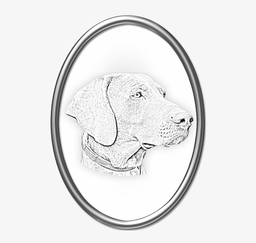 Weimaraner Drawing Head, transparent png download