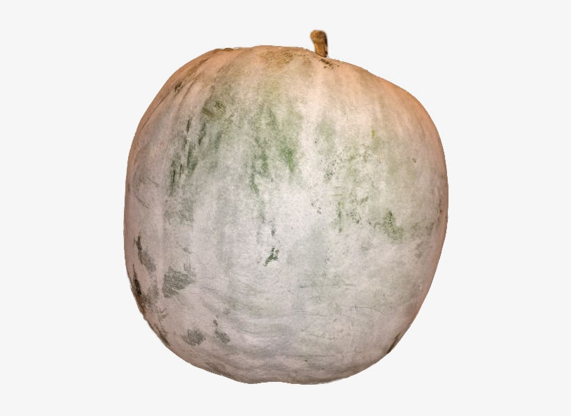 As The Name Implies, The Long Napa Is Lengthier Than - Sugar-apple, transparent png download