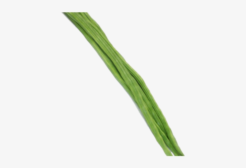 Drumstick Vegetable Png, transparent png download