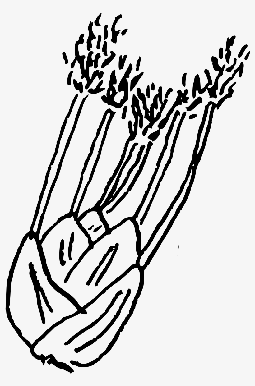 Doodle-fennel - Line Art, transparent png download