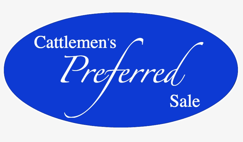 Cattlemen's Preferred Sale Registered Bulls & Commercial - Mysql Png, transparent png download