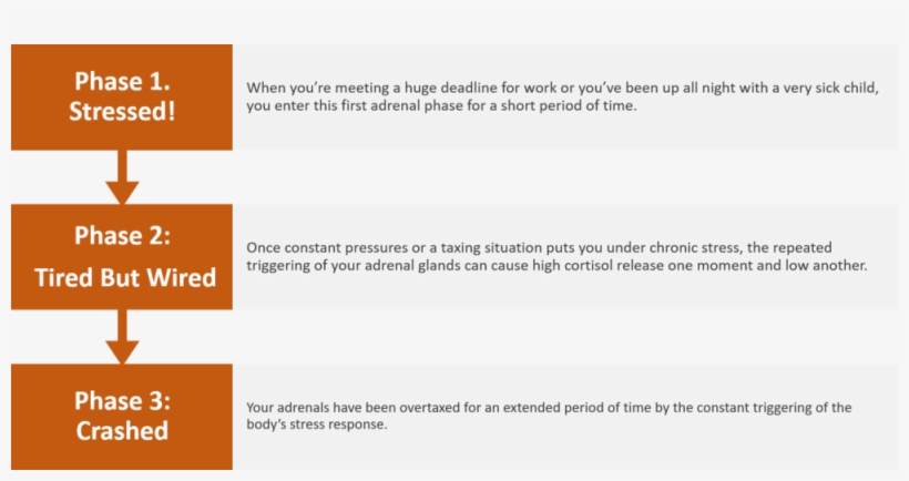 Adrenal Fatigue, transparent png download