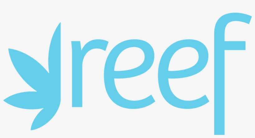 Reef Fake - Yess International Consultants, transparent png download