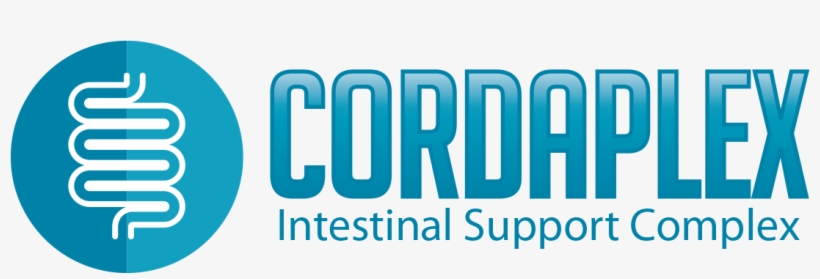 'leaky Gut' Is The Condition Where Undigested Proteins - Trim Complete, transparent png download