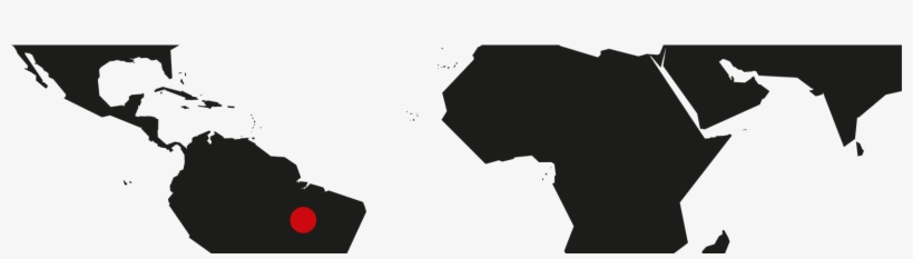 Sweet Floral Aroma, Taste Notes Of Creamy Baker's Chocolate - Morocco Netherlands, transparent png download