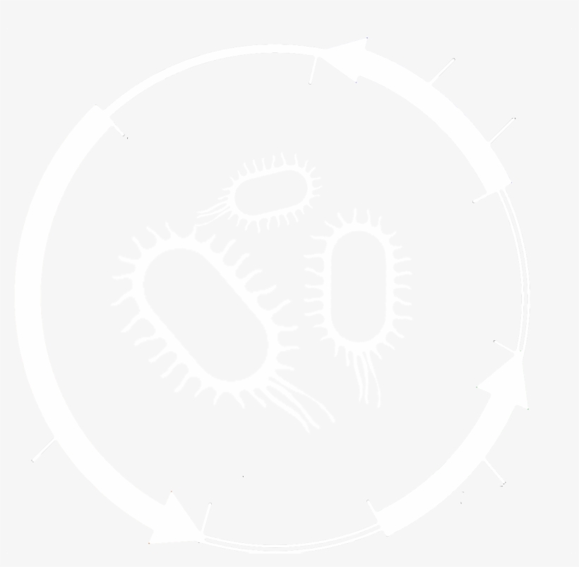 You Can Switch Between The Projects Later By Clicking - Circle, transparent png download