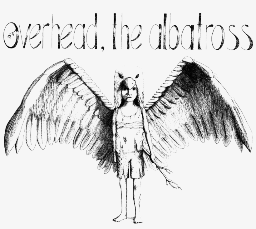 Svg Black And White Stock Taking Flight Overhead The - Sketch, transparent png download