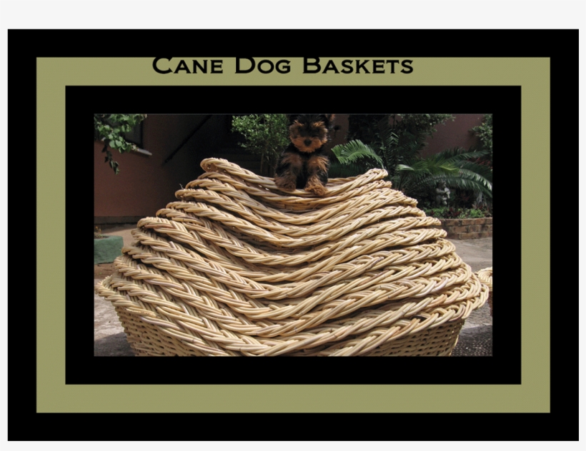 Dog Baskets, Picnic Baskets, Custom Made Baskets,, transparent png download