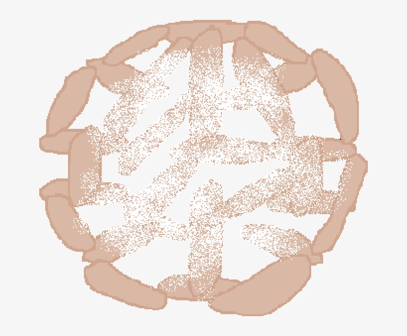 Funnel Cake Body - Funnel Cake, transparent png download