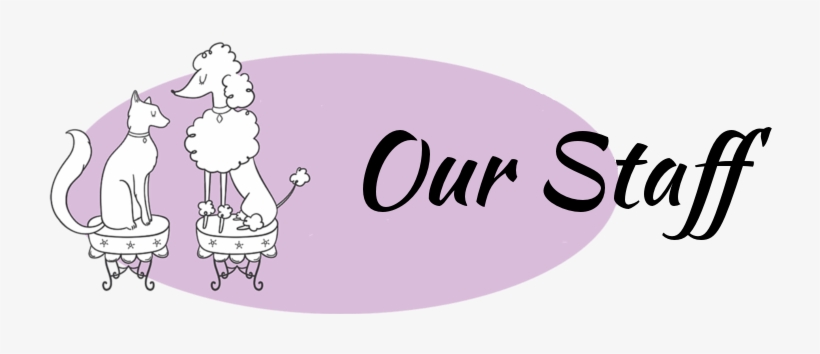 Pet Stylista, transparent png download