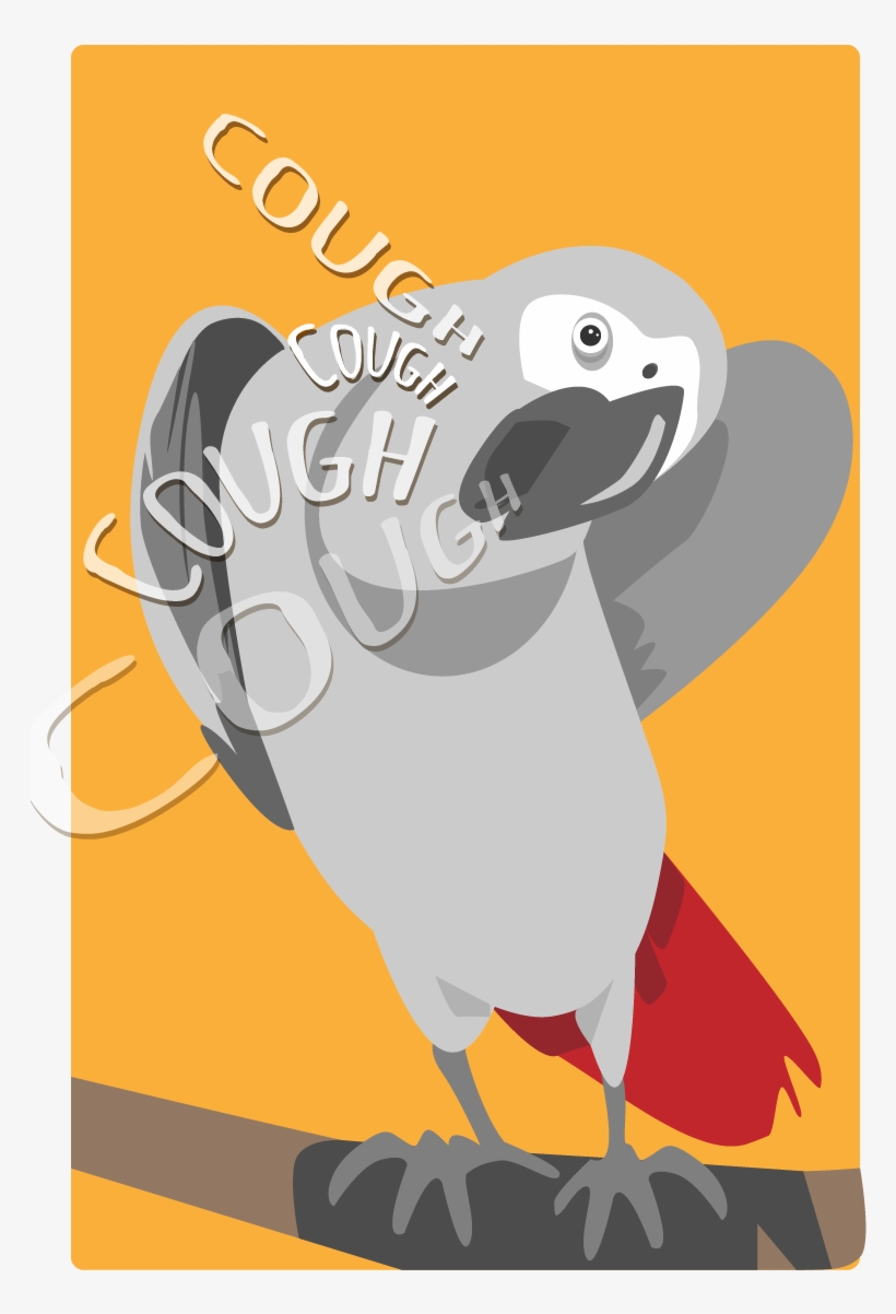 African Grey, transparent png download