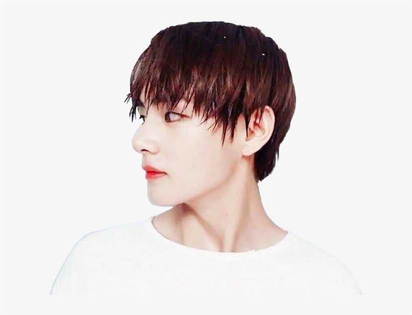 ⚠ Please Not Copy My Sticker ⚠️bts Taehyung Bangtanson - Taehyung De Lente, transparent png download
