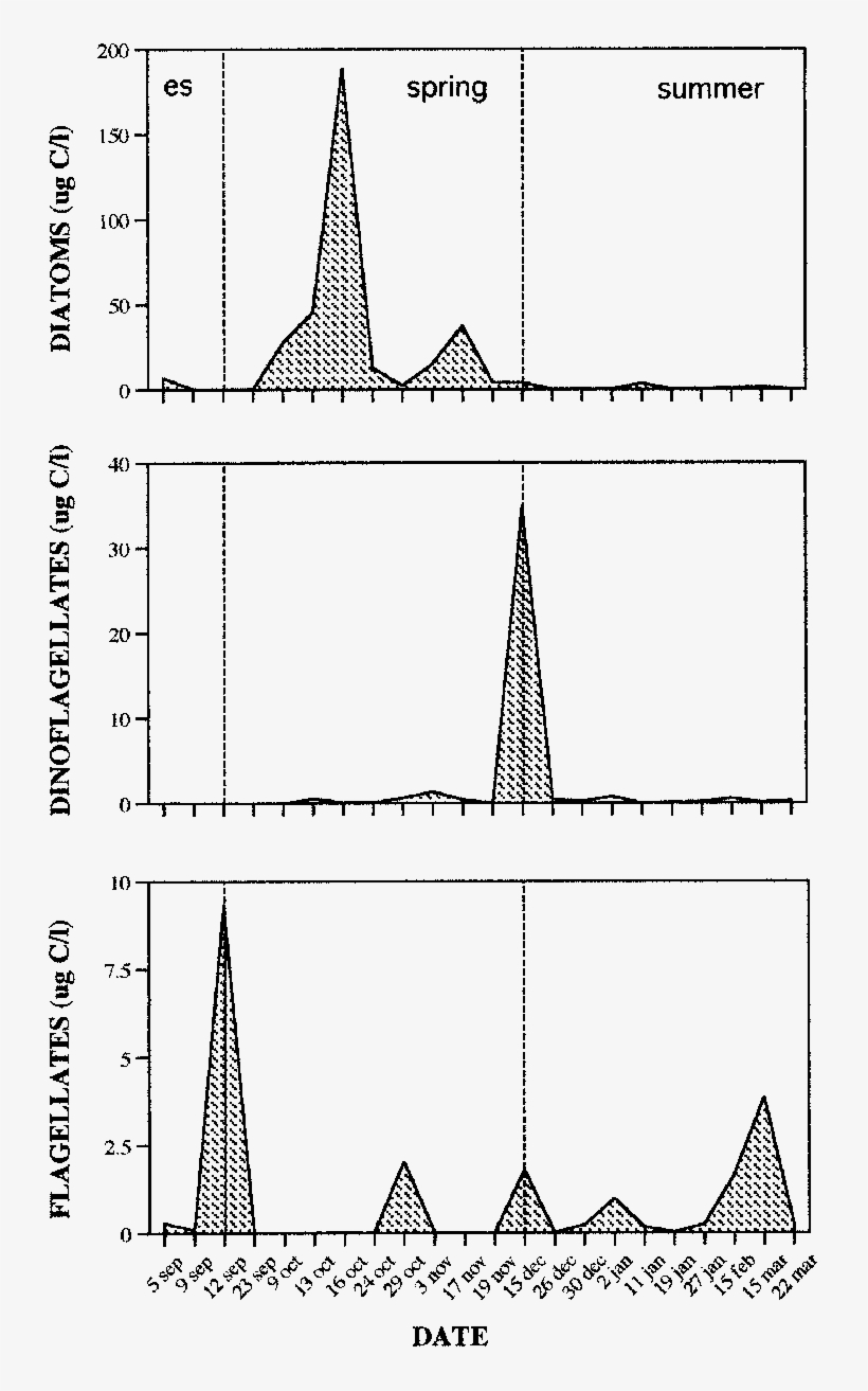 Phytoplankton Carbon Biomass Of The Main Phytoplankton, transparent png download