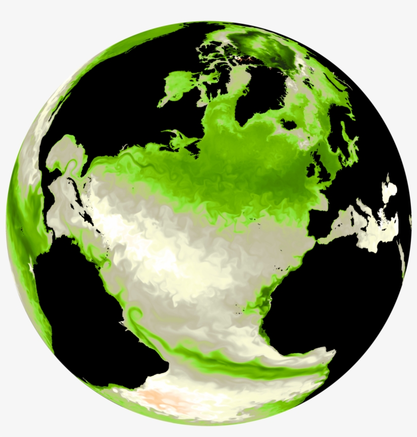 Phytoplankton - Comparative Law Of Contracts: Cases And Materials, transparent png download