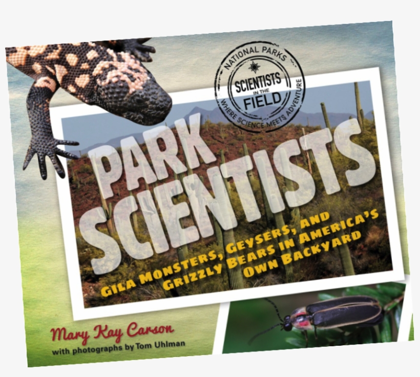 Park Scientists Gila Monsters, transparent png download