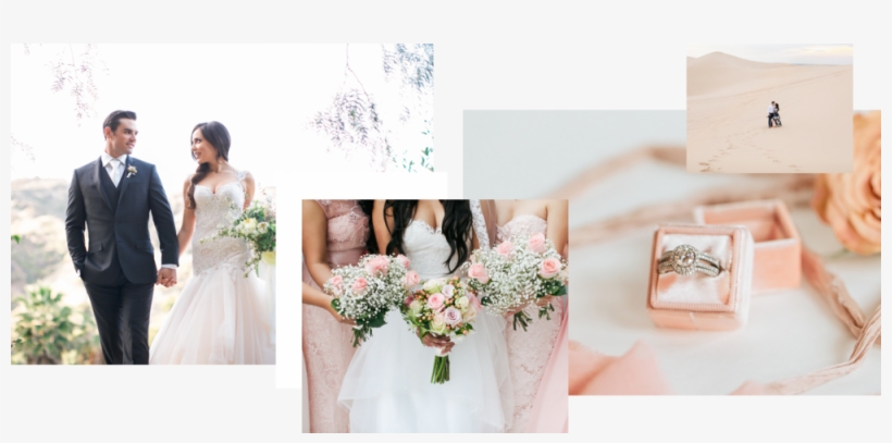 07 - Photography, transparent png download