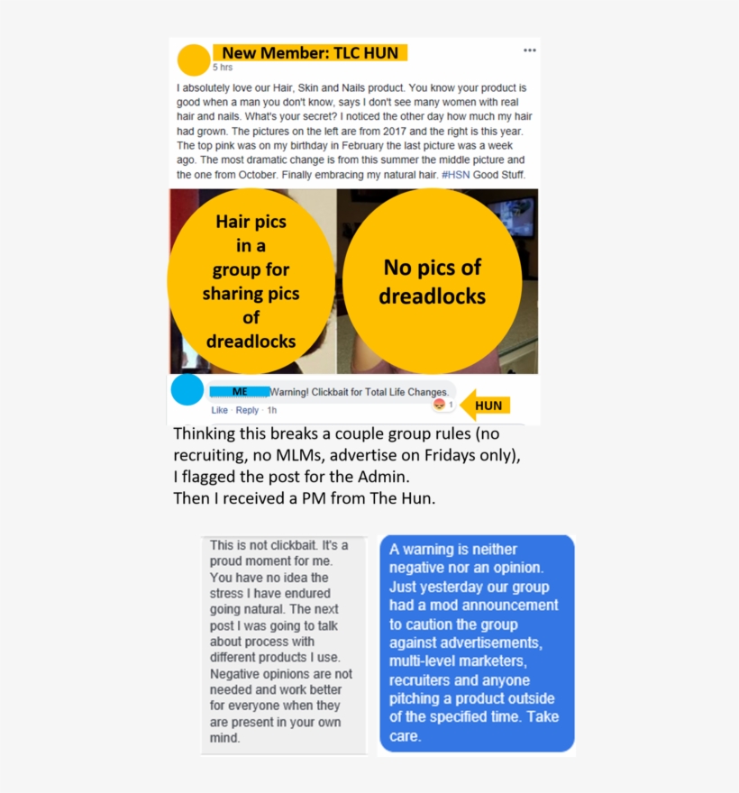 Total Life Changesnew Hun In My Hair Group - Brochure, transparent png download