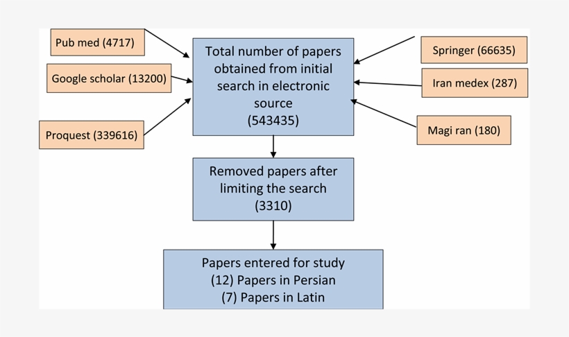 Organizational Sections - Diagram, transparent png download